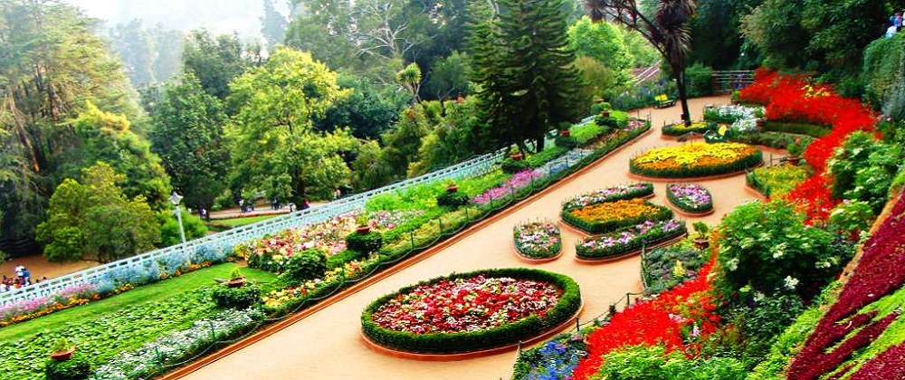 Mysore - Ooty - Coonoor